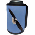 3dRose Danita Delimont - Birds of prey - Bald Eagle flying - Can Cooler Bottle Wrap (cc_278050)