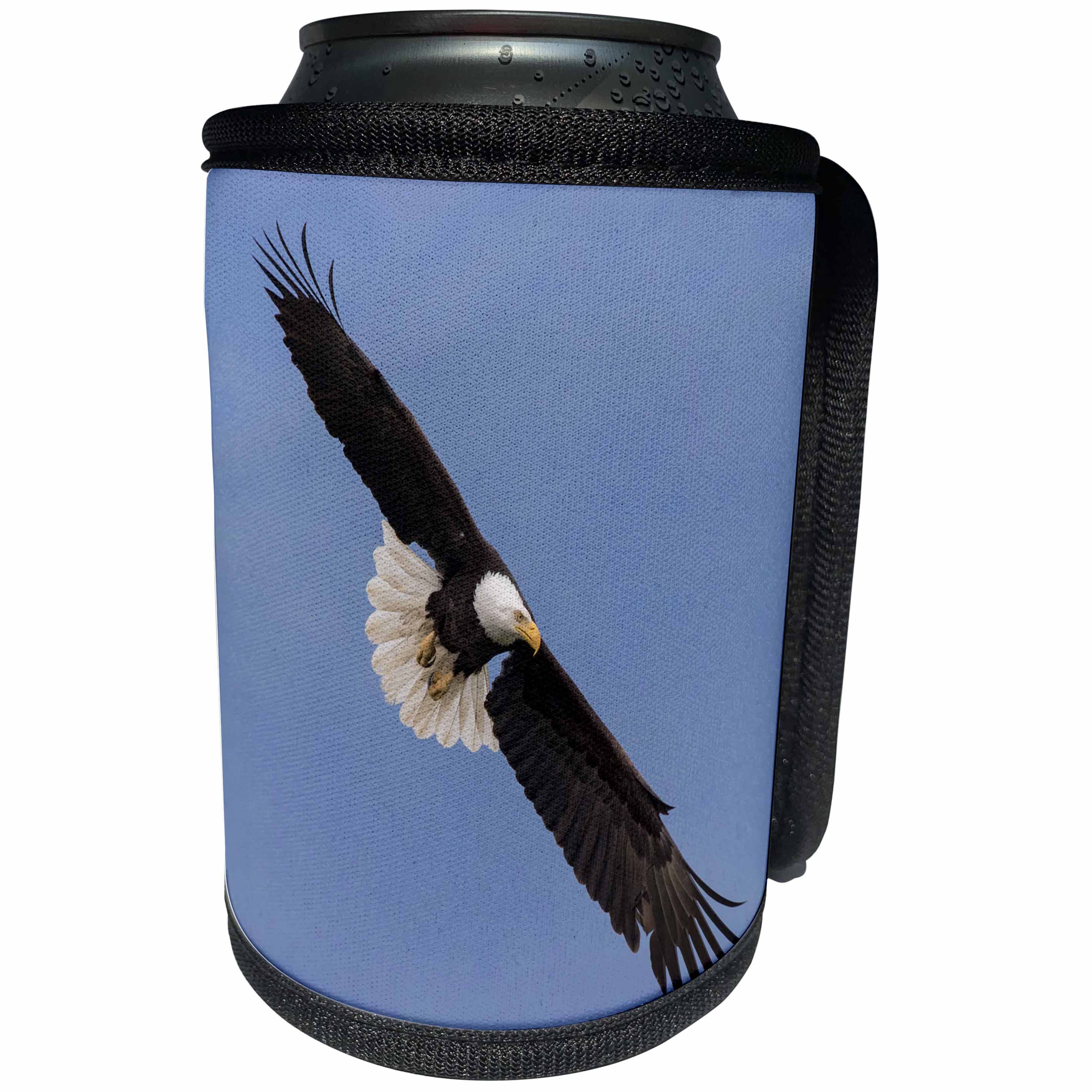 3dRose Danita Delimont - Birds of prey - Bald Eagle flying - Can Cooler Bottle Wrap (cc_278050)