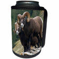 3dRose Danita Delimont - Sheep - Bighorn sheep rams on the mountainside - Can Cooler Bottle Wrap (cc_278051)