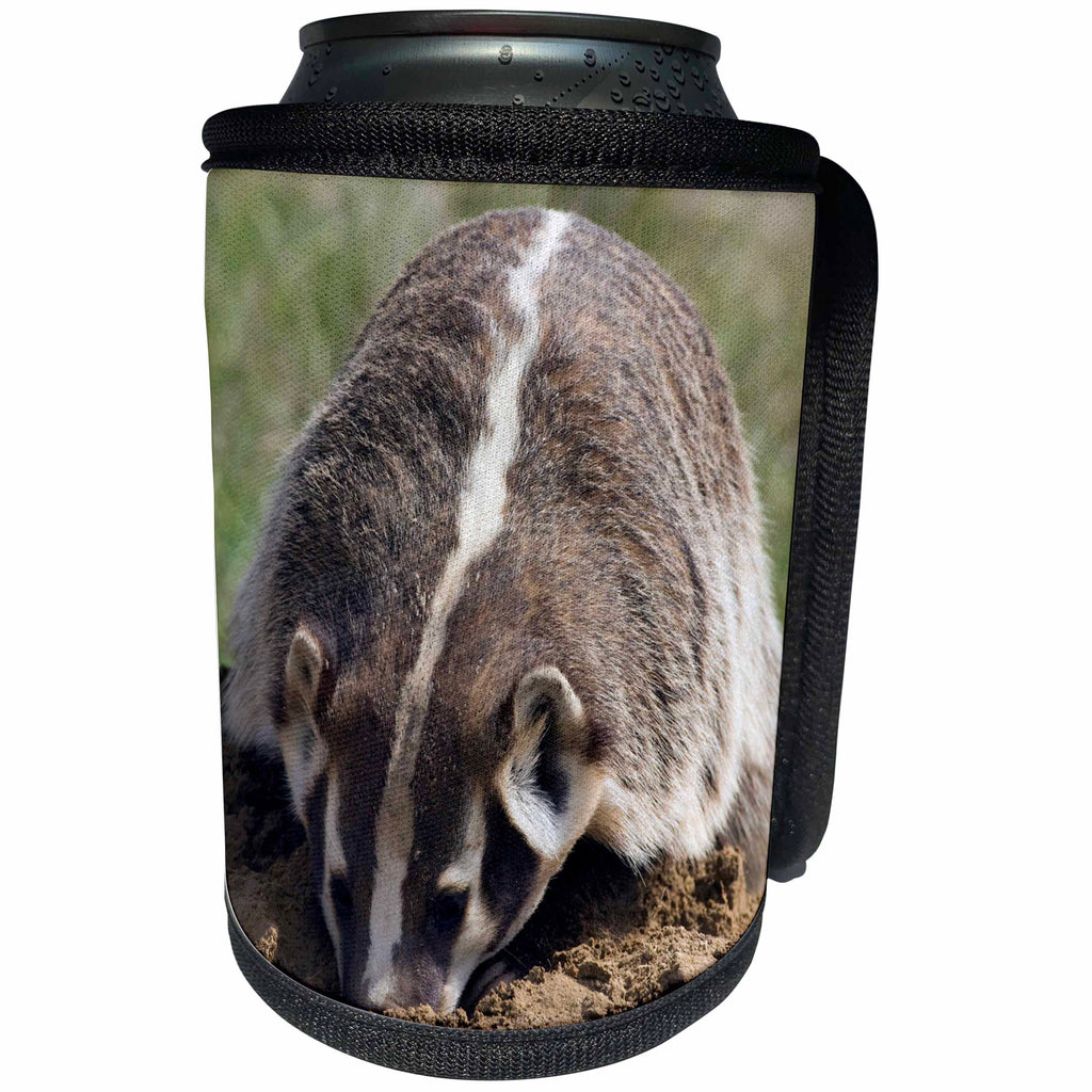 3dRose Danita Delimont - Animals - American Badger Digging - Can Cooler Bottle Wrap (cc_278054)