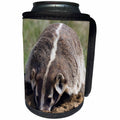 3dRose Danita Delimont - Animals - American Badger Digging - Can Cooler Bottle Wrap (cc_278054)