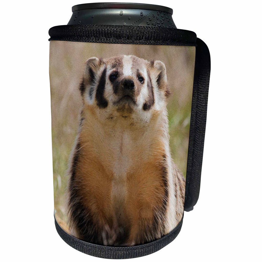 3dRose Danita Delimont - Animals - American Badger portrait - Can Cooler Bottle Wrap (cc_278055)
