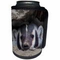 3dRose Danita Delimont - Animals - American Badger peeking out of den - Can Cooler Bottle Wrap (cc_278056)