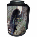 3dRose Danita Delimont - Beavers - American Beaver gnawing on tree - Can Cooler Bottle Wrap (cc_278058)