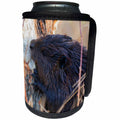 3dRose Danita Delimont - Beavers - American Beaver chewing down tree - Can Cooler Bottle Wrap (cc_278059)