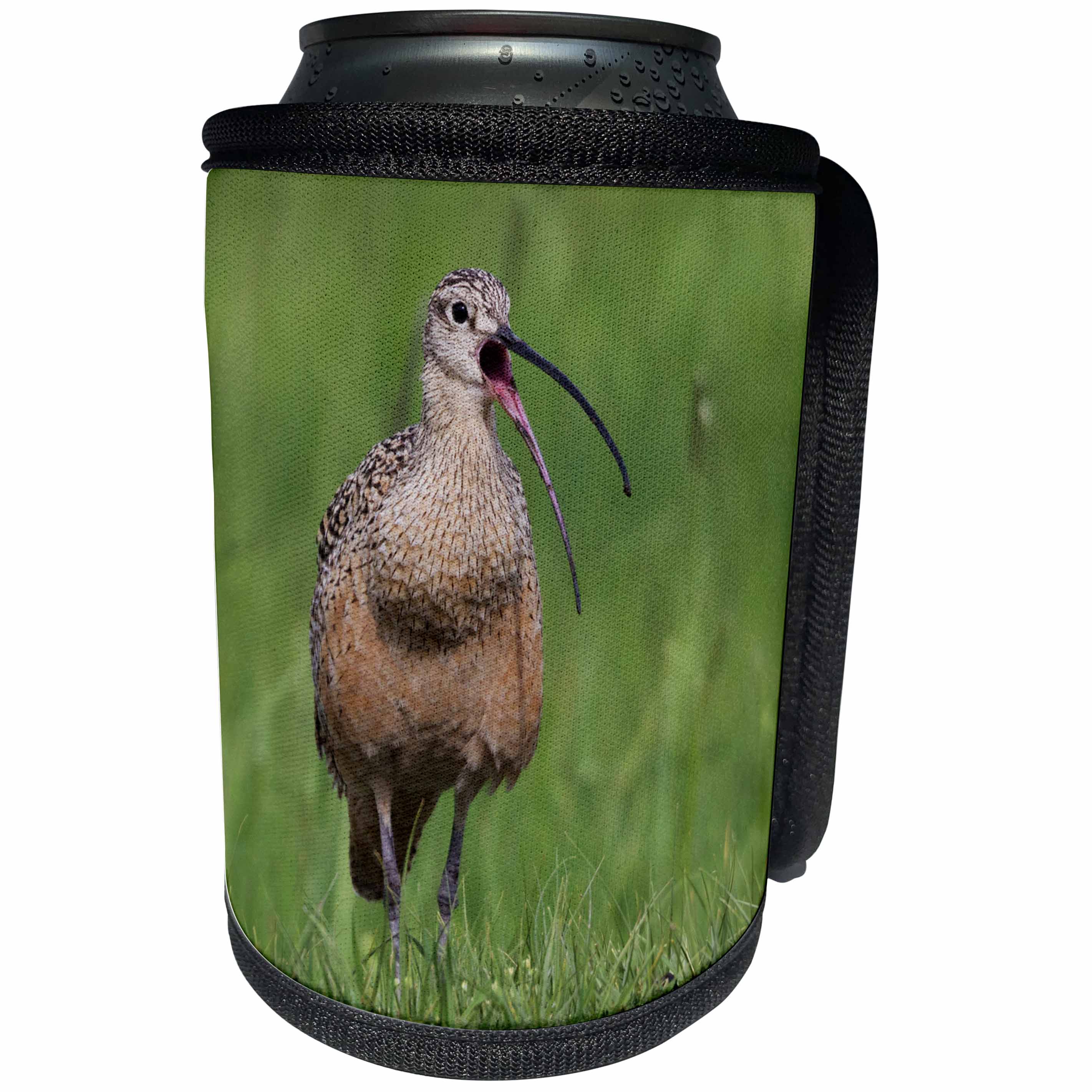 3dRose Danita Delimont - Birds - Long billed Curlew, calling - Can Cooler Bottle Wrap (cc_278064)