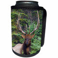 3dRose Danita Delimont - Elk - Rocky Mountain Bull Elk looking at the camera. - Can Cooler Bottle Wrap (cc_278065)