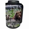3dRose Danita Delimont - Bears - Grizzly Bear Sow and Cub - Can Cooler Bottle Wrap (cc_278069)