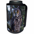 3dRose Danita Delimont - Owls - Long eared Owl - Can Cooler Bottle Wrap (cc_278072)