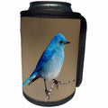 3dRose Danita Delimont - Songbirds - Mountain Bluebird - Can Cooler Bottle Wrap (cc_278073)