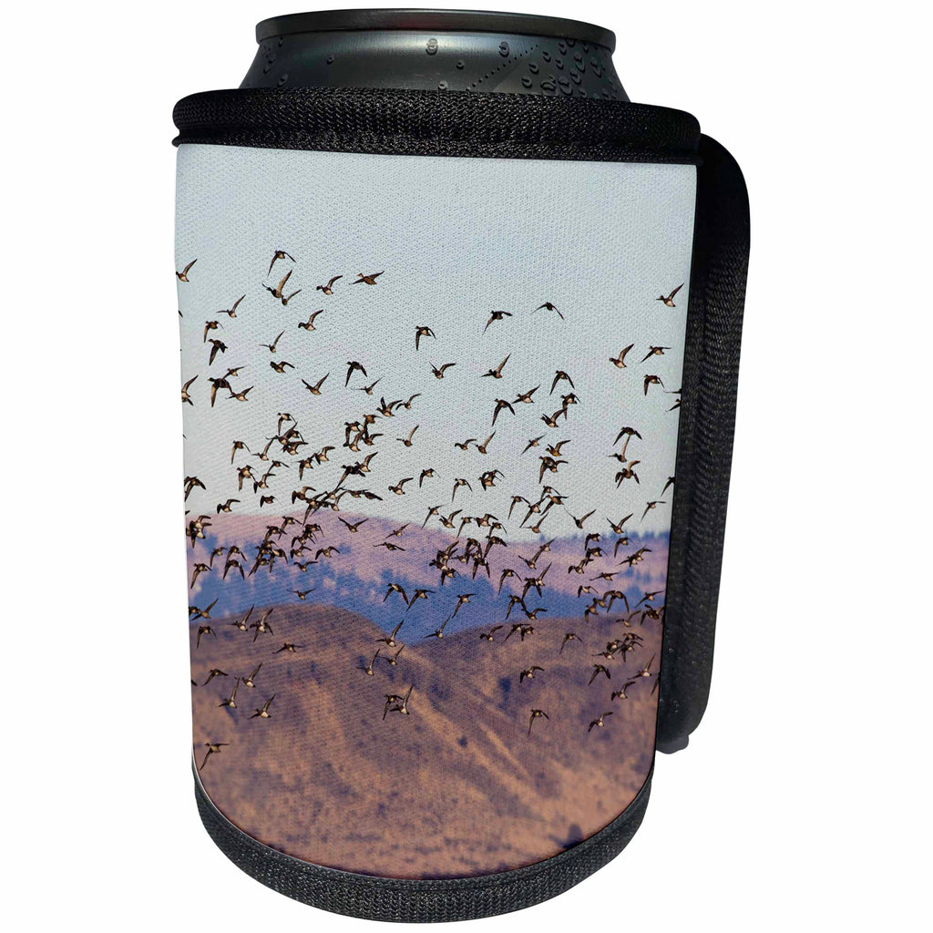3dRose Danita Delimont - Birds - Ducks Alighting and Foraging in winter wheat - Can Cooler Bottle Wrap (cc_278075)