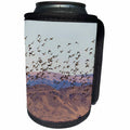 3dRose Danita Delimont - Birds - Ducks Alighting and Foraging in winter wheat - Can Cooler Bottle Wrap (cc_278075)