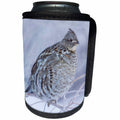 3dRose Danita Delimont - Birds - Ruffed Grouse in cold winter weather. - Can Cooler Bottle Wrap (cc_278078)