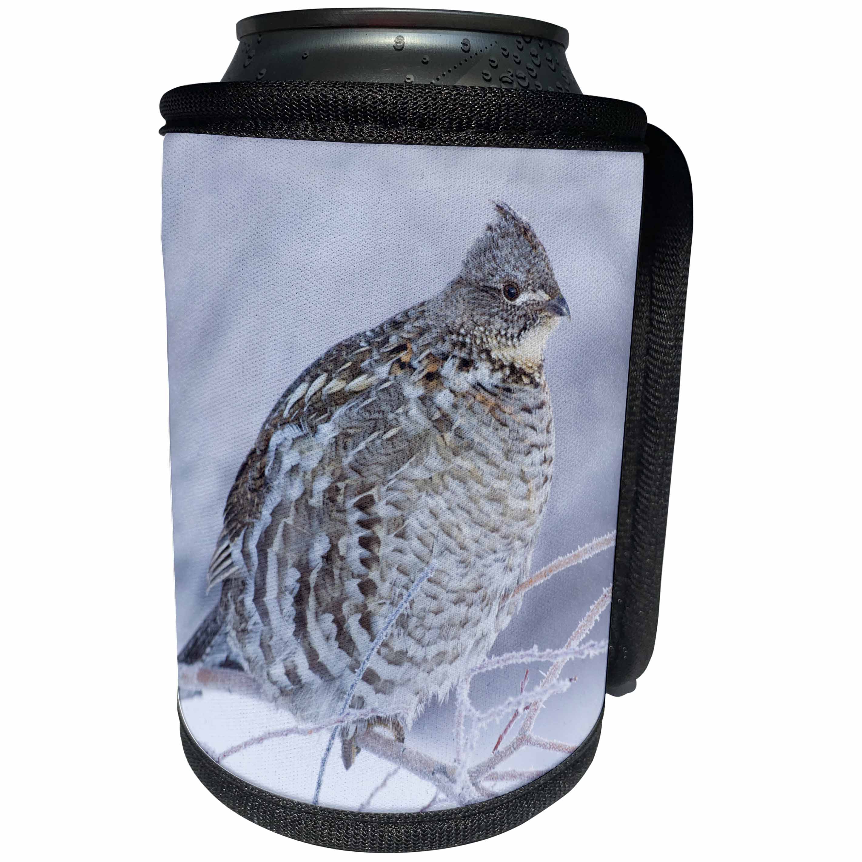 3dRose Danita Delimont - Birds - Ruffed Grouse in cold winter weather. - Can Cooler Bottle Wrap (cc_278078)