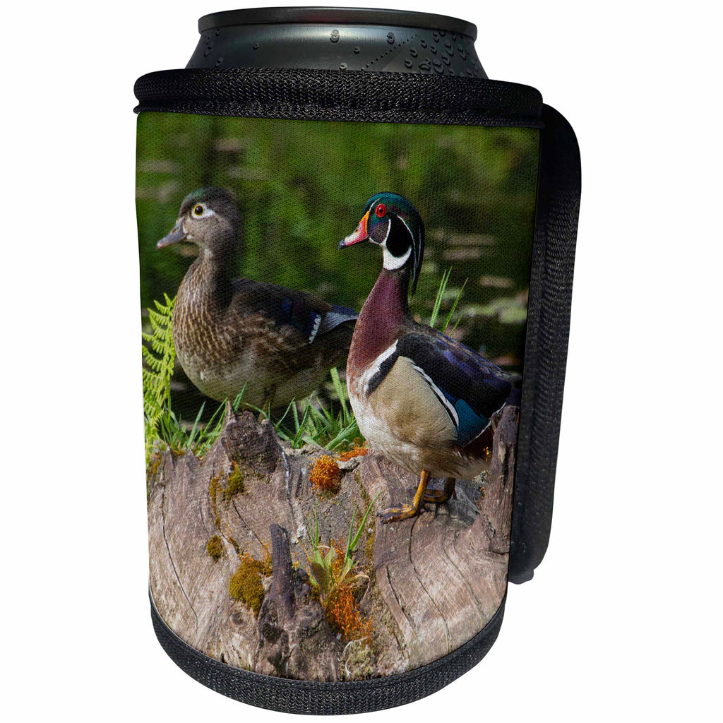 3dRose Danita Delimont - Ducks - Wood Duck Pair - Can Cooler Bottle Wrap (cc_278079)