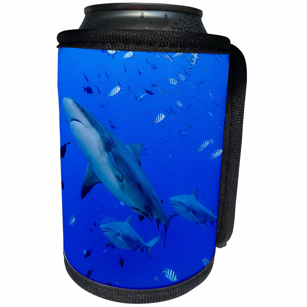 3dRose Danita Delimont - Sharks - Fiji. Close up of bull sharks - Can Cooler Bottle Wrap (cc_278087)