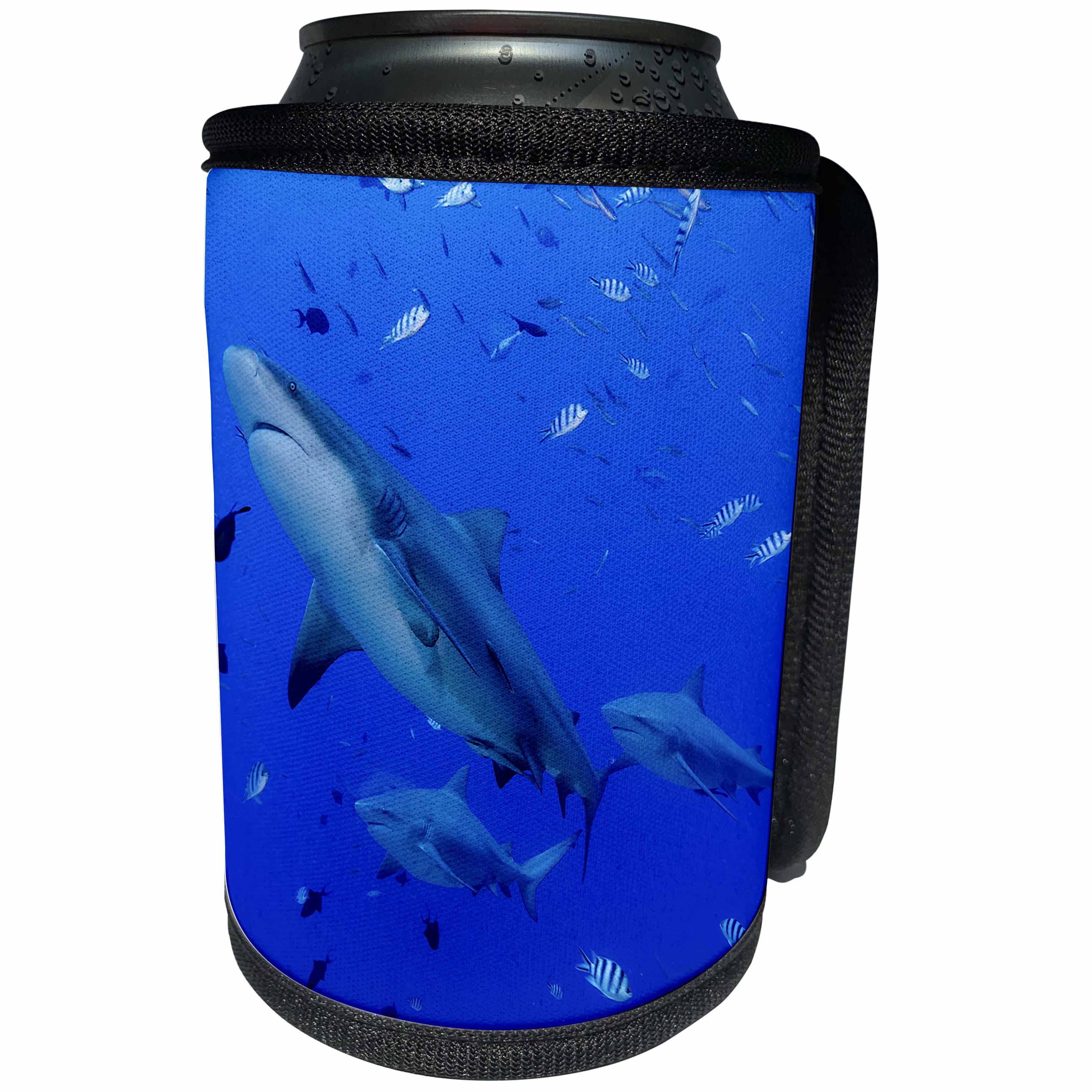 3dRose Danita Delimont - Sharks - Fiji. Close up of bull sharks - Can Cooler Bottle Wrap (cc_278087)