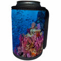 3dRose Danita Delimont - Reefs - Fiji. Reef with coral and black snapper fish - Can Cooler Bottle Wrap (cc_278088)