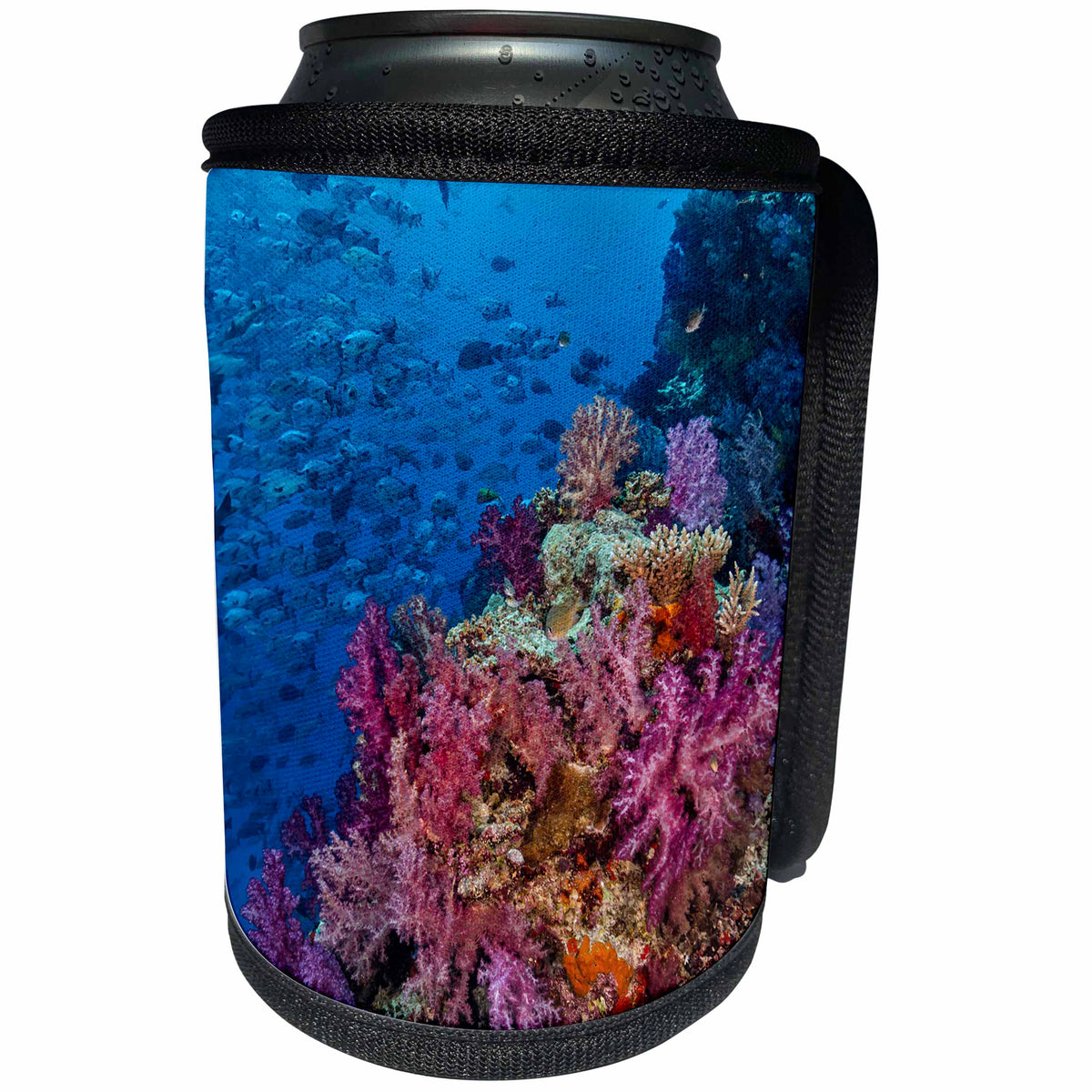 3dRose Danita Delimont - Reefs - Fiji. Reef with coral and black snapper fish - Can Cooler Bottle Wrap (cc_278088)