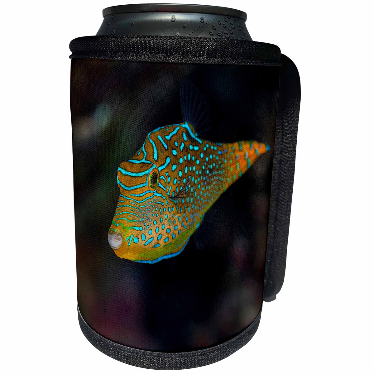 3dRose Danita Delimont - Fish - Fiji. Close up of Papua toby fish - Can Cooler Bottle Wrap (cc_278092)