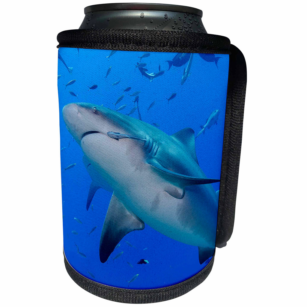 3dRose Danita Delimont - Sharks - Fiji. Close up of bull sharks. - Can Cooler Bottle Wrap (cc_278095)