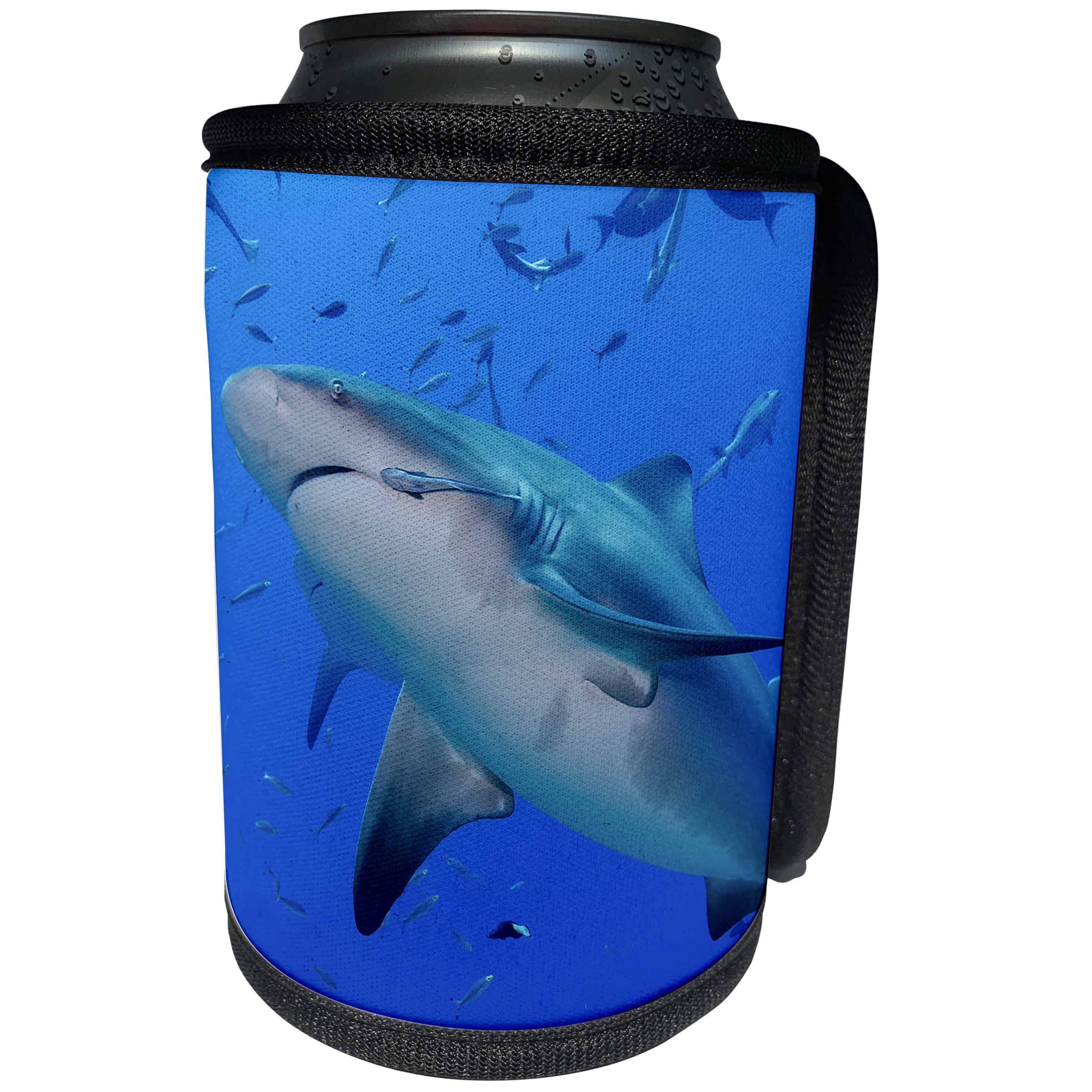 3dRose Danita Delimont - Sharks - Fiji. Close up of bull sharks. - Can Cooler Bottle Wrap (cc_278095)