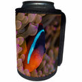 3dRose Danita Delimont - Fish - Fiji. Clownfish hiding among sea anemones. - Can Cooler Bottle Wrap (cc_278098)