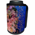 3dRose Danita Delimont - Reefs - Fiji. Anthias swarm over the coral reef. - Can Cooler Bottle Wrap (cc_278101)
