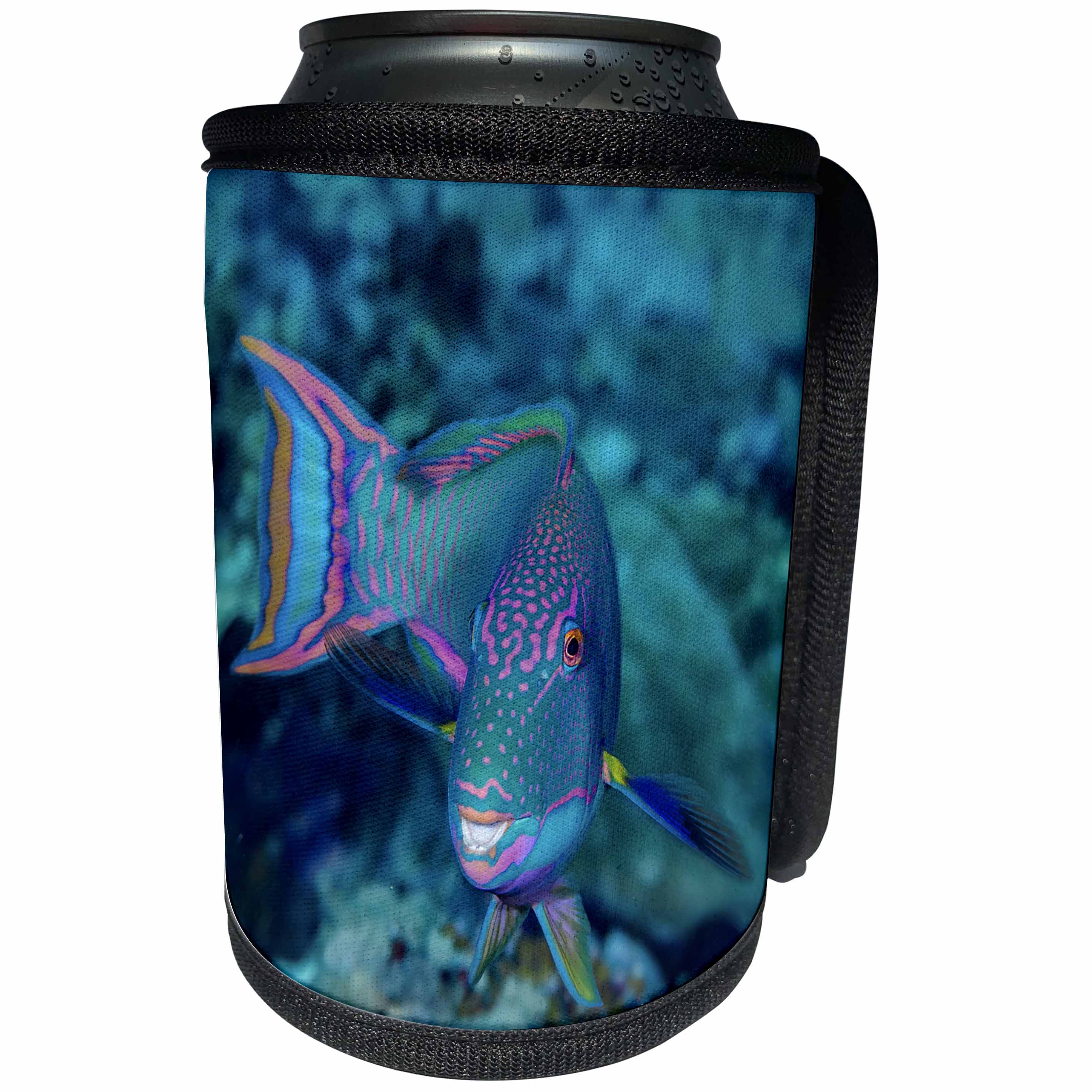 3dRose Danita Delimont - Fish - South Pacific, Solomon Islands. Close up of parrotfish - Can Cooler Bottle Wrap (cc_278108)