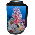 3dRose Danita Delimont - Reefs - South Pacific, Solomon Islands. Reef of corals. - Can Cooler Bottle Wrap (cc_278112)