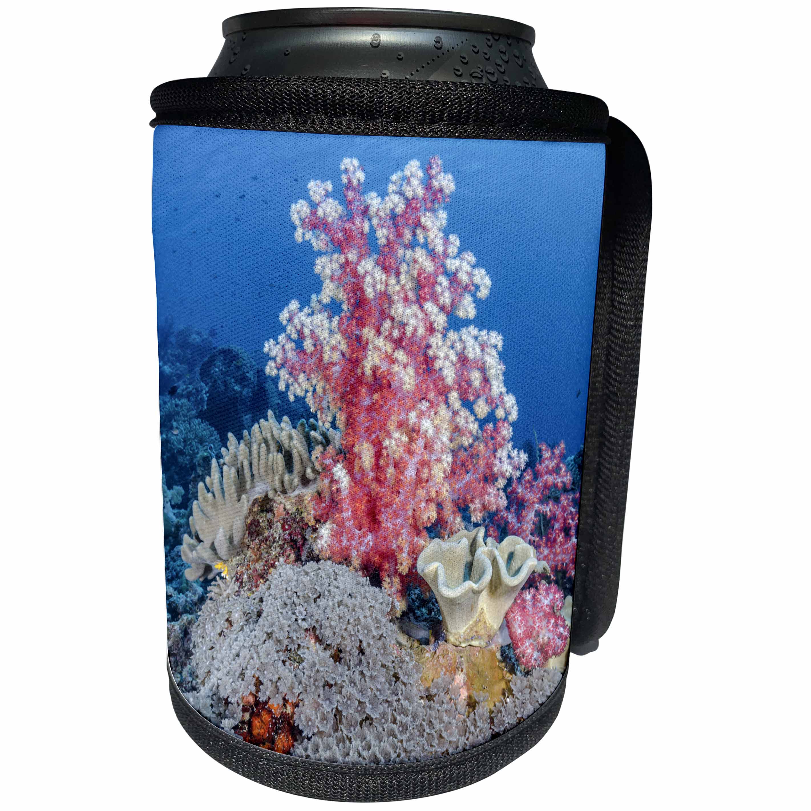 3dRose Danita Delimont - Reefs - South Pacific, Solomon Islands. Reef of corals. - Can Cooler Bottle Wrap (cc_278112)