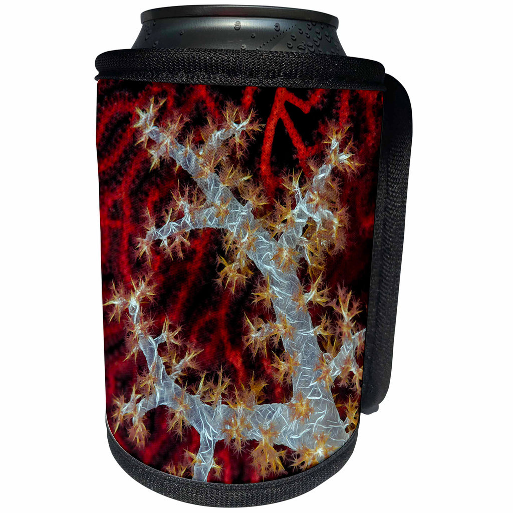 3dRose Danita Delimont - Marine life - South Pacific, Solomon Islands. Sea fan and soft coral. - Can Cooler Bottle Wrap (cc_278116)