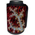 3dRose Danita Delimont - Marine life - South Pacific, Solomon Islands. Sea fan and soft coral. - Can Cooler Bottle Wrap (cc_278116)