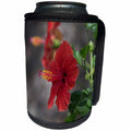 3dRose Danita Delimont - Flowers - Hibiscus rosa sinensis, Kingdom of Tonga. - Can Cooler Bottle Wrap (cc_278121)