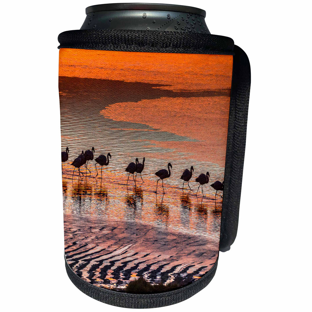 3dRose Danita Delimont - Flamingos - Altiplano, Bolivia, Laguna Colorada, flamingos at sunset. - Can Cooler Bottle Wrap (cc_278144)
