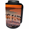 3dRose Danita Delimont - Flamingos - Altiplano, Bolivia, Laguna Colorada, flamingos at sunset. - Can Cooler Bottle Wrap (cc_278144)