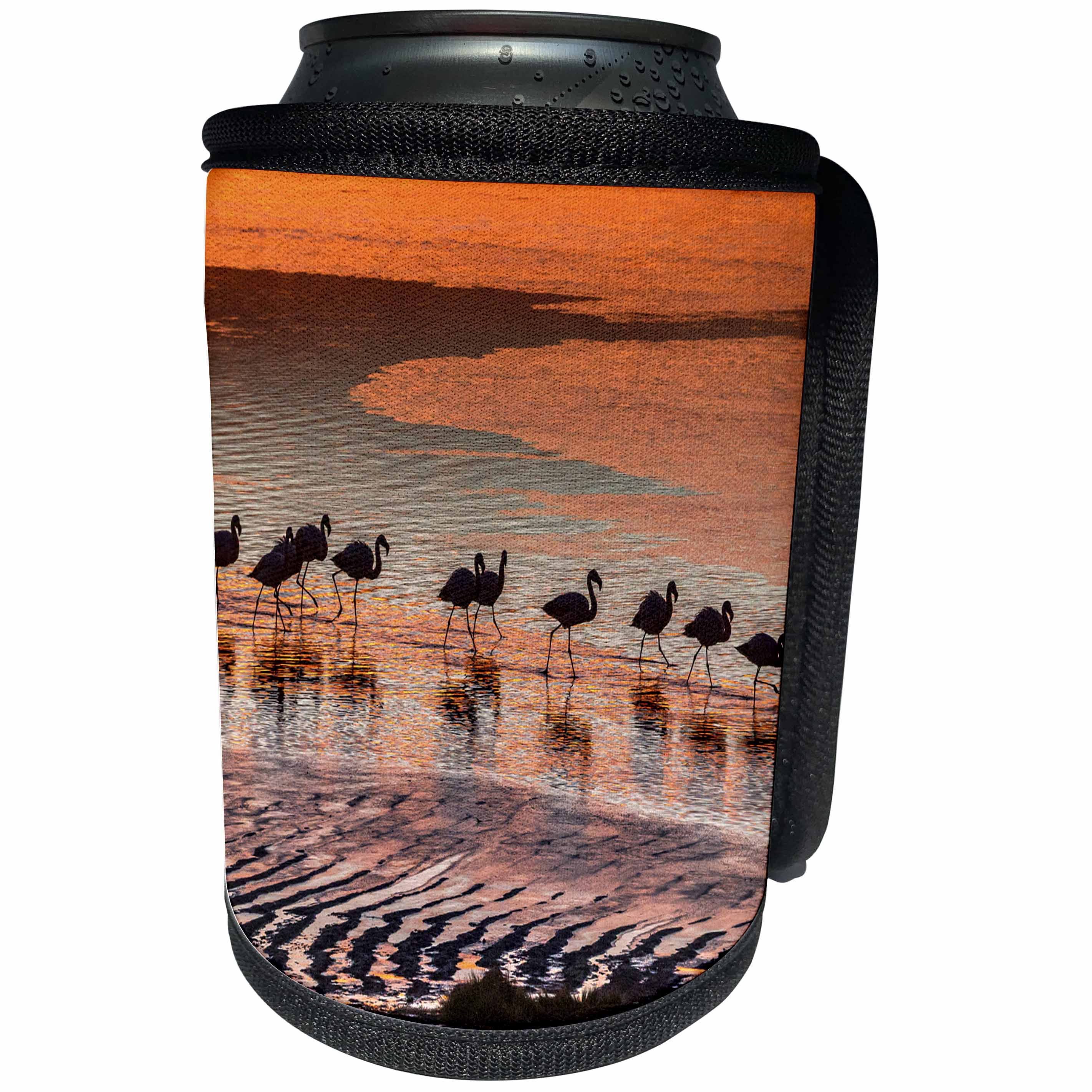 3dRose Danita Delimont - Flamingos - Altiplano, Bolivia, Laguna Colorada, flamingos at sunset. - Can Cooler Bottle Wrap (cc_278144)
