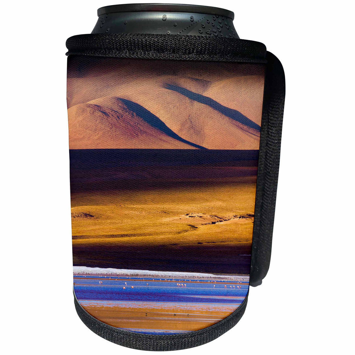 3dRose Danita Delimont - Flamingos - Flamingos, Altiplano, Bolivia - Can Cooler Bottle Wrap (cc_278146)