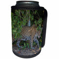 3dRose Danita Delimont - Big Cats - A jaguar prowls on the banks of the Pantanal, Brazil - Can Cooler Bottle Wrap (cc_278155)