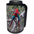 3dRose Danita Delimont - Parrots - Brazil, Mato Grosso do Sul, Jardim, A pair of red and green macaws. - Can Cooler Bottle Wrap (cc_278157)