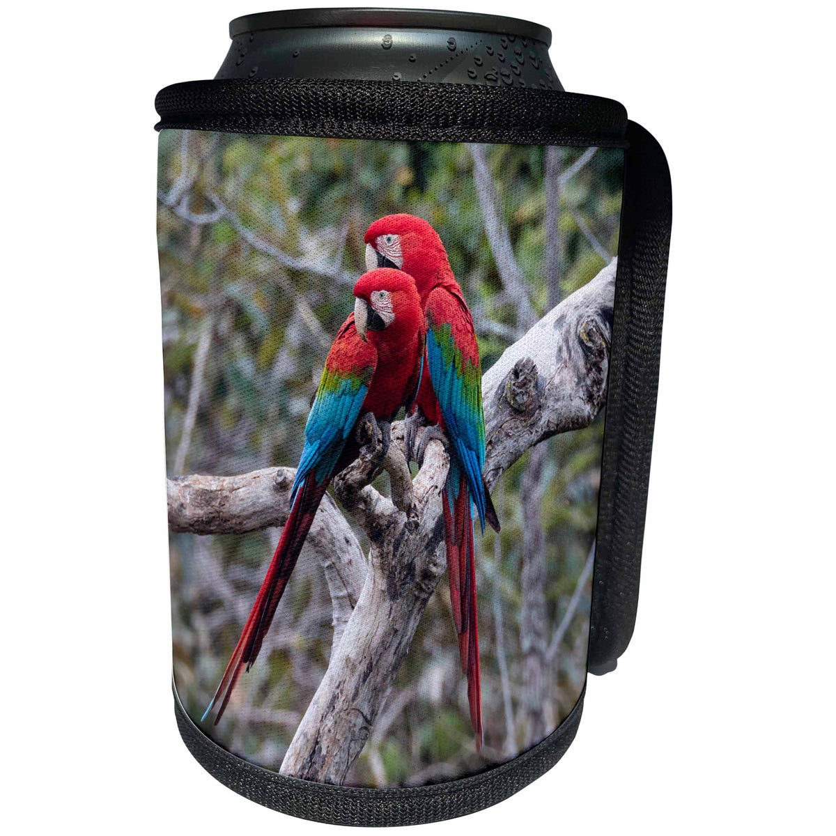 3dRose Danita Delimont - Parrots - Brazil, Mato Grosso do Sul, Jardim, A pair of red and green macaws. - Can Cooler Bottle Wrap (cc_278157)
