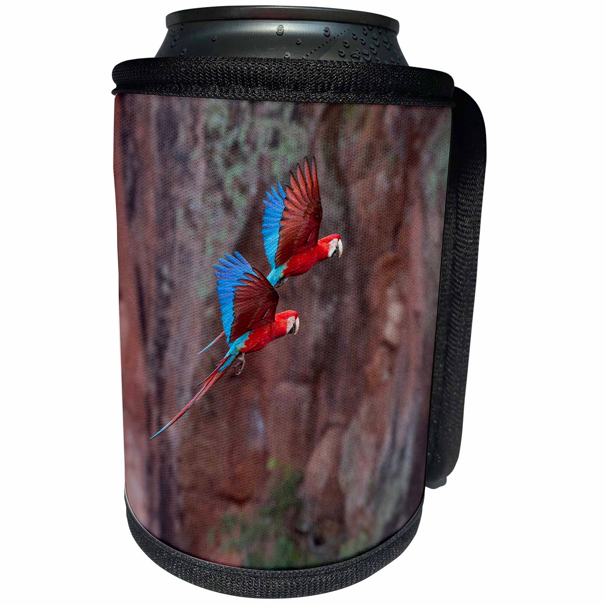 3dRose Danita Delimont - Parrots - Brazil, Mato Grosso do Sul, JardimRed and green macaws flying in shade - Can Cooler Bottle Wrap (cc_278160)