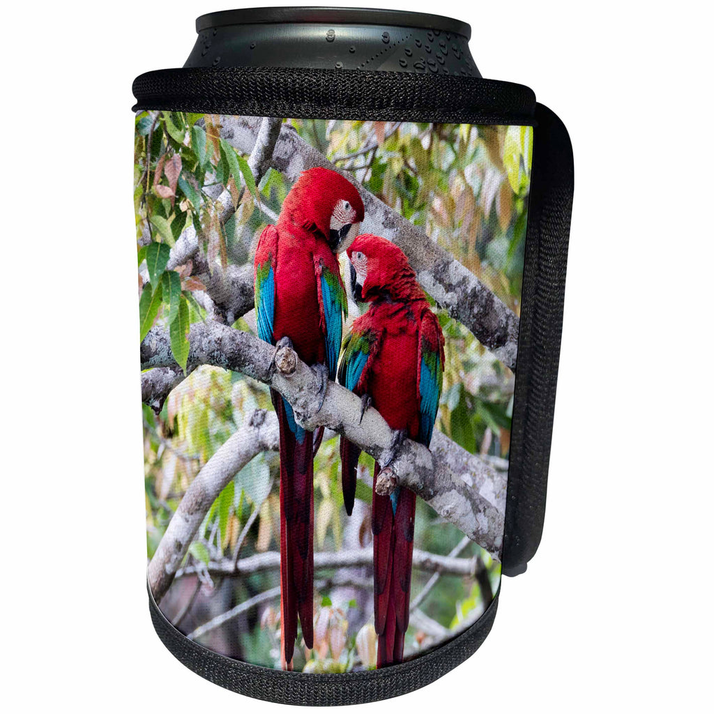 3dRose Danita Delimont - Parrots - Brazil, Mato Grosso do Sul, Jardim, Red and green macaws nuzzling - Can Cooler Bottle Wrap (cc_278163)