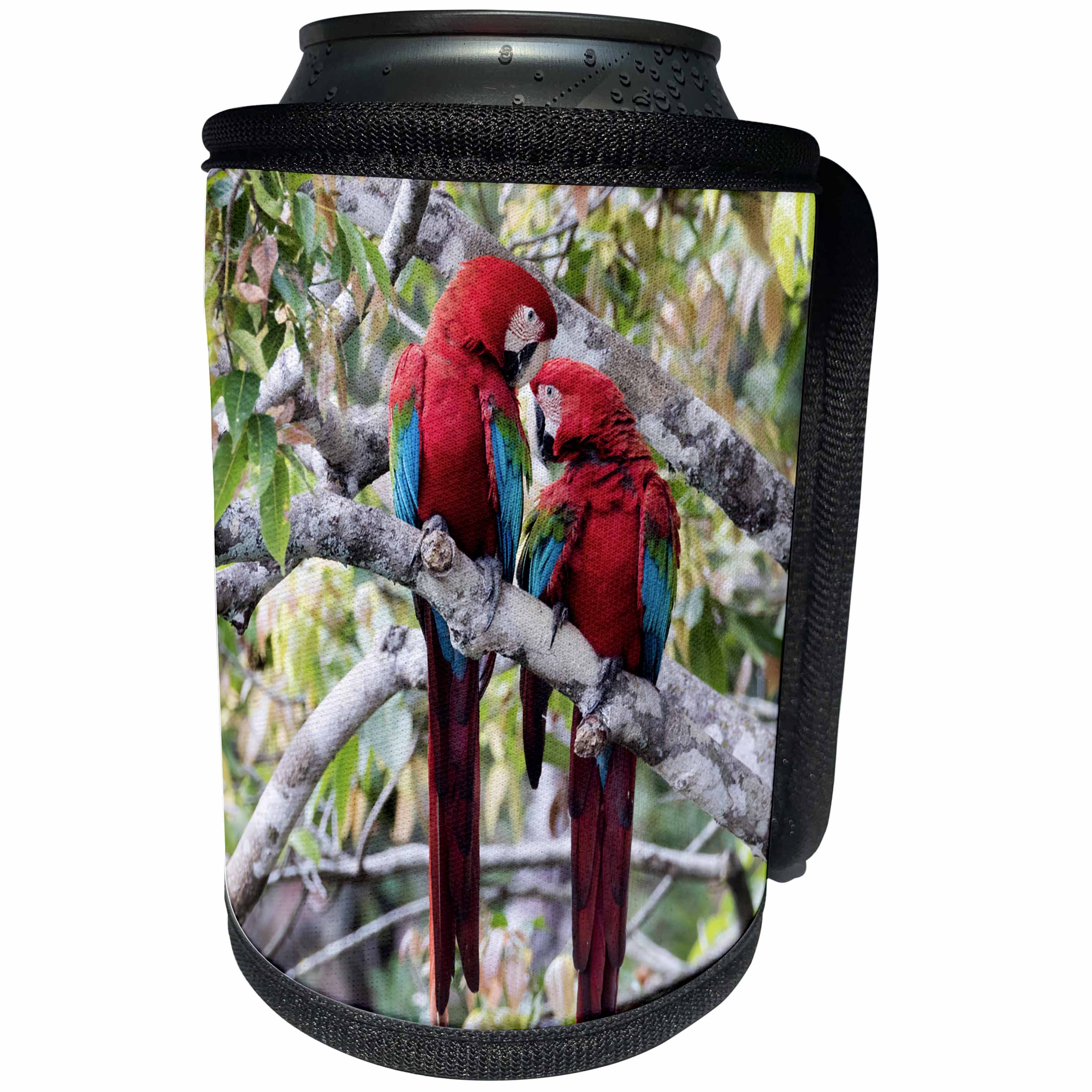 3dRose Danita Delimont - Parrots - Brazil, Mato Grosso do Sul, Jardim, Red and green macaws nuzzling - Can Cooler Bottle Wrap (cc_278163)
