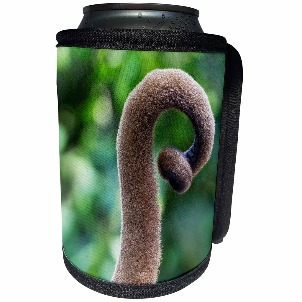 3dRose Danita Delimont - Primates - Brazil, Amazon, Manaus, Close up common woolly monkey tail. - Can Cooler Bottle Wrap (cc_278169)