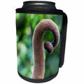3dRose Danita Delimont - Primates - Brazil, Amazon, Manaus, Close up common woolly monkey tail. - Can Cooler Bottle Wrap (cc_278169)