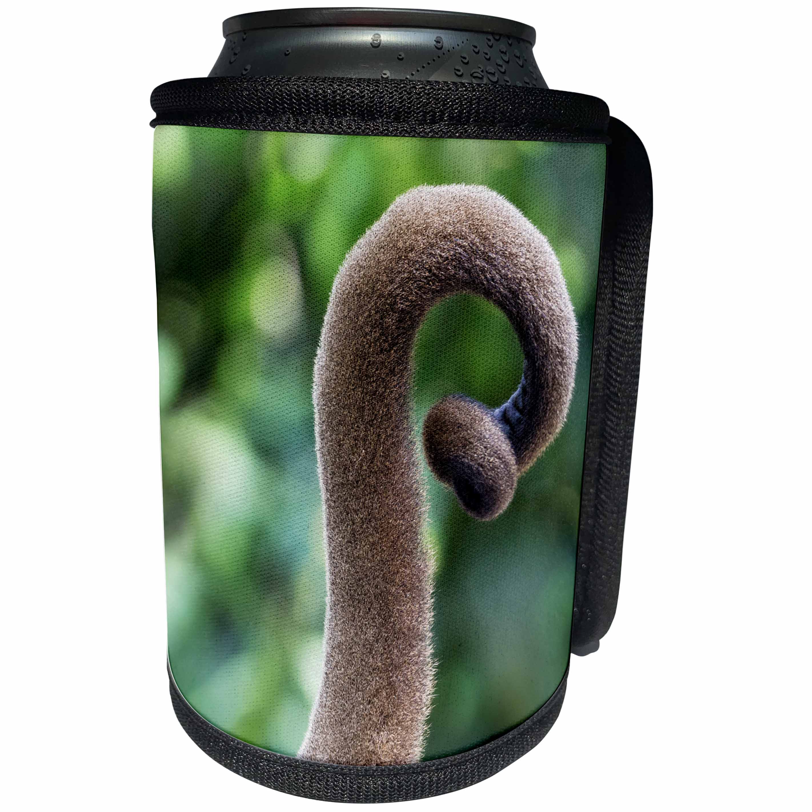3dRose Danita Delimont - Primates - Brazil, Amazon, Manaus, Close up common woolly monkey tail. - Can Cooler Bottle Wrap (cc_278169)
