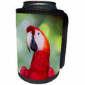 3dRose Danita Delimont - Parrots - Brazil, Amazon, Manaus. Headshot of a scarlet macaw. - Can Cooler Bottle Wrap (cc_278170)