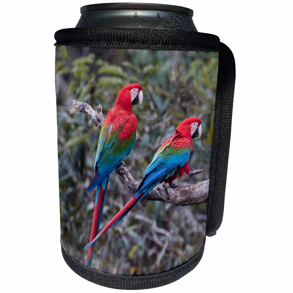 3dRose Danita Delimont - Parrots - Brazil, Jardim, Sinkhole of the Macaws. Pair of red and green macaws. - Can Cooler Bottle Wrap (cc_278174)