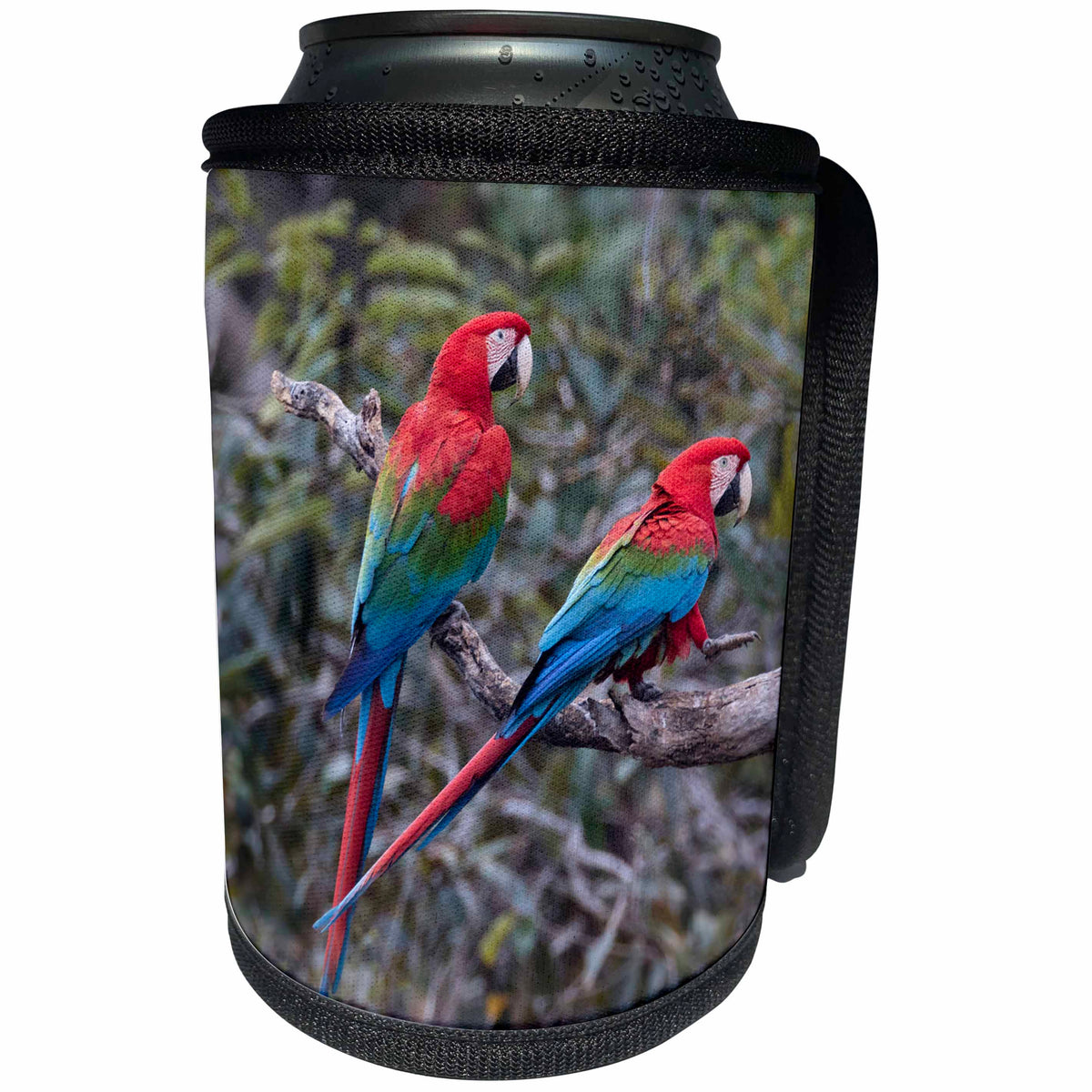 3dRose Danita Delimont - Parrots - Brazil, Jardim, Sinkhole of the Macaws. Pair of red and green macaws. - Can Cooler Bottle Wrap (cc_278174)
